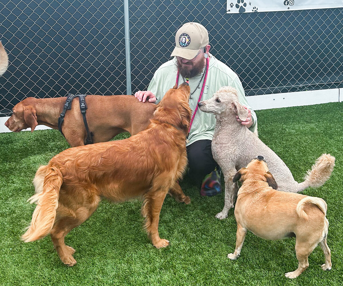 employee petting dogs
